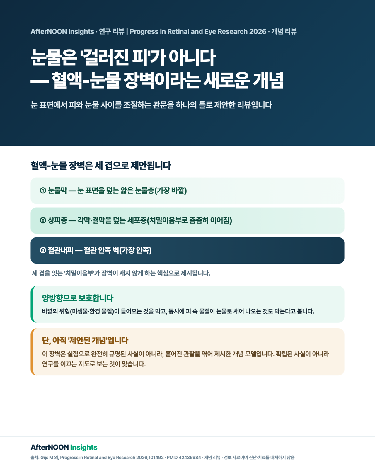 혈액-눈물 장벽(Blood-Tear Barrier, BTB)의 제안된 개념 모델 인포그래픽 — 눈 표면에서 눈물막·상피층·혈관내피 세 구획이 치밀이음부로 이어져 피와 눈물 사이 물질 이동을 선택적으로 조절하고(바깥의 위협은 막고 혈액 유래 물질의 유입도 막는 양방향 보호), 수술·점안/전신약·콘택트렌즈·안구표면질환·전신질환이 이 장벽을 무너뜨릴 수 있음을 보여주는 그림. 다만 아직 실험으로 완전히 규명되지 않은 제안 단계의 개념임을 함께 표시.