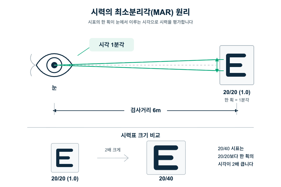 시력 1.0이면 눈은 건강한 걸까요? 원리 도해